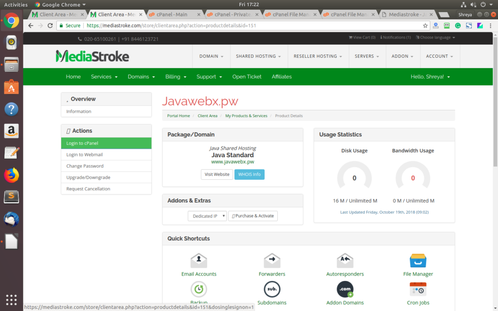 web hosting provider
