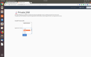 java web server